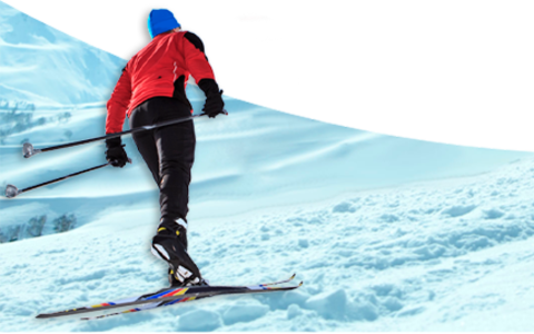 nzero Cera Líquida Universal Alpine Skiing 100ml Transparente